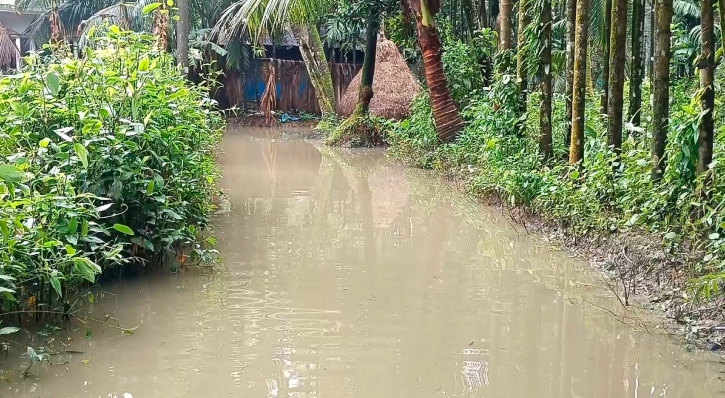 লক্ষ্মীপুরে আবার বন্যা, নতুন সংকটের শঙ্কা